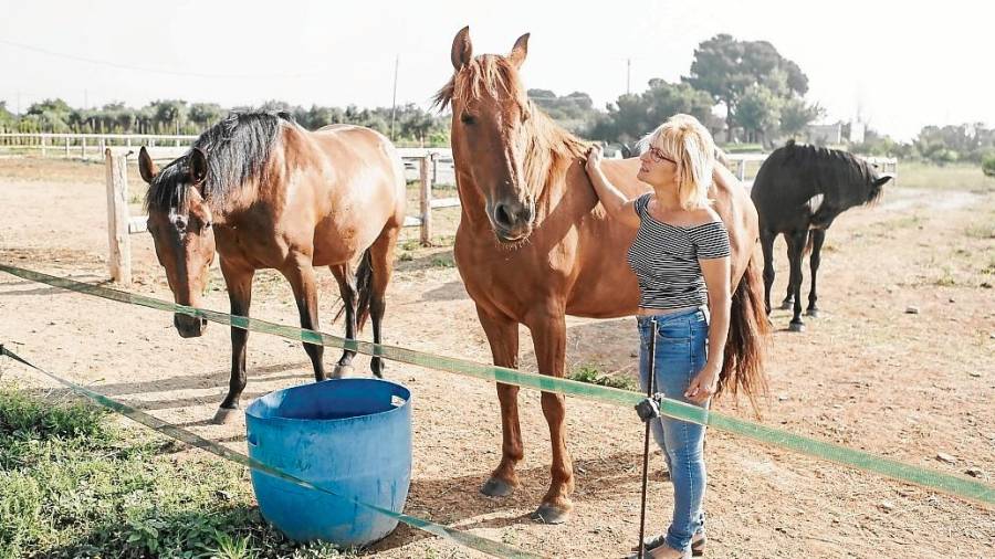 Alejandra Seguí es una de las impulsoras del proyecto que promueve el bienestar del caballo respetando su naturaleza. FOTO: alba mariné
