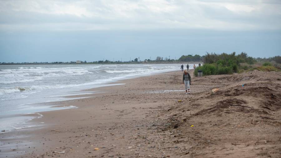 La platja de l'Arenal, a l'Ampolla, després del temporal de la setmana passada. Foto: Joan Revillas