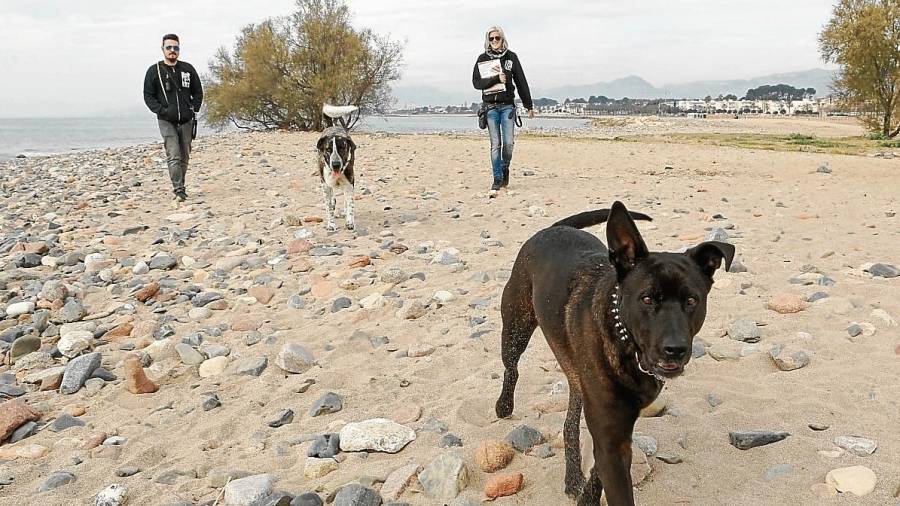 Jessica Ramos con sus mascotas en la playa de la Riera de l’Alforja en Cambrils. FOTO: Alba Mariné