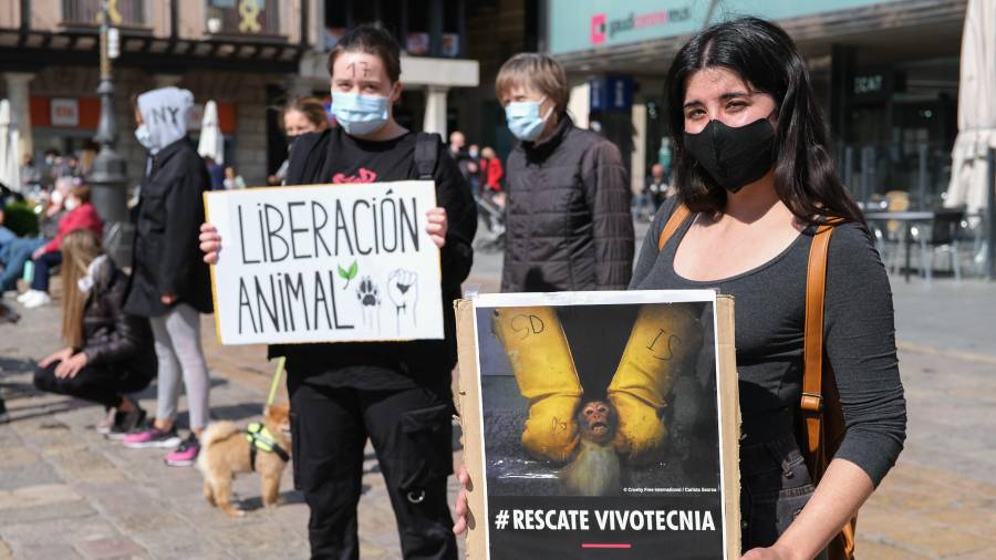 Concentrados en el Mercadal mostrando carteles para liberar los animales de Vivotecnia. FOTO: Fabián Acidres