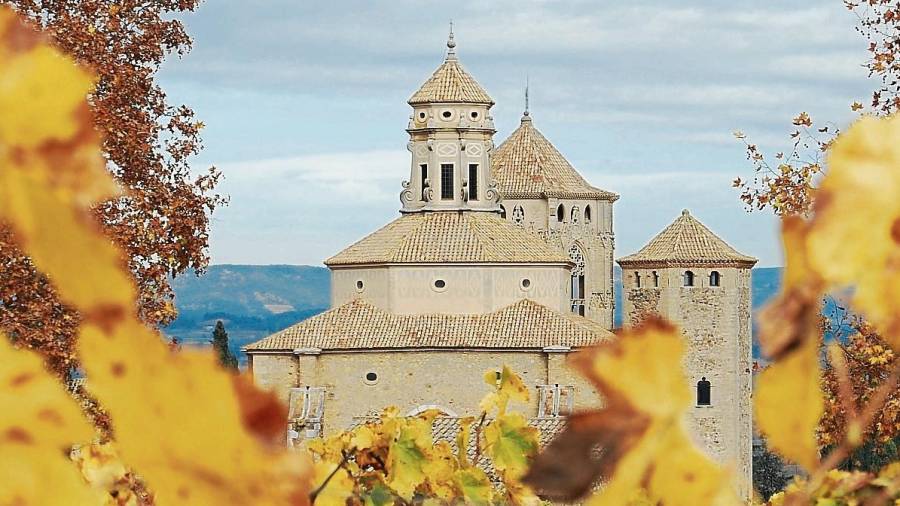 El monasterio de Poblet se encuentra rodeado de viñedos y tierras agrícolas de L’Espluga de Francolí y Vimbodí. FOTO: J.M..Potau