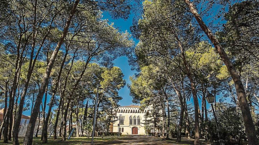 El jardí del Castell de Vila-seca és un espai únic per passejar o anar amb bicicleta lluny del soroll típic de la ciutat. FOTO: Cedida