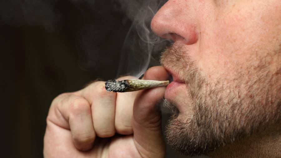 A los clubes de cannabis se les exigirá medidas de control para garantizar que solo pueden acceder los socios. FOTO: Thinkstock