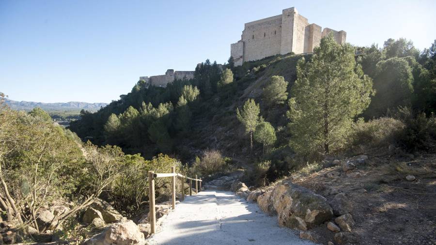 La sendera per on el veïnat del nucli antic del municipi riberenc ha d’accedir a casa seva, prop del castell de Miravet. FOTO: JUAN REVILLAS