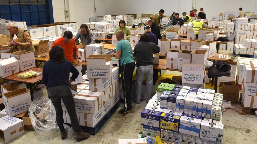 Imatge de voluntaris al Banc d'Aliments encaixant aliments del Gran Recapte. FOTO: Alfredo González/DT