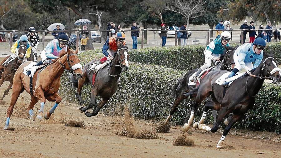 El tradicional Cós de Sant Antoni es va celebrar al Circuit Hípic del Parc de la Torre d’en Dolça. FOTO: Pere Ferré