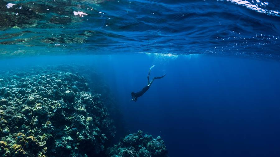 La circulación oceánica redistribuye la energía de la Tierra y las masas de agua y tiene una influencia en el clima. Foto: getty images