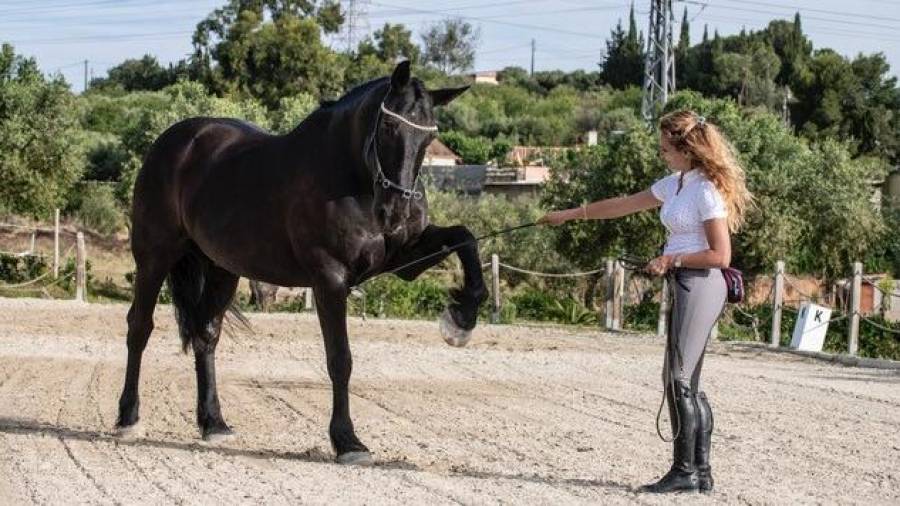 Iris Ferré, trabajando con uno de los caballos. FOTO: PikDame/ Ferran Estivill