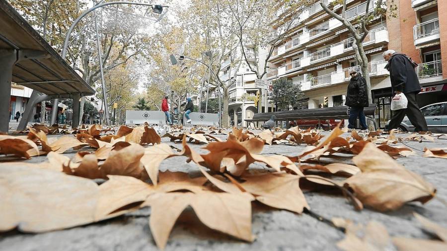 El Passeig Prim y la zona de Mare Molas tienen plataneros y tipuanas, árboles de hojas caduca que en esta época ensucian la calle. FOTO: Alba Mariné