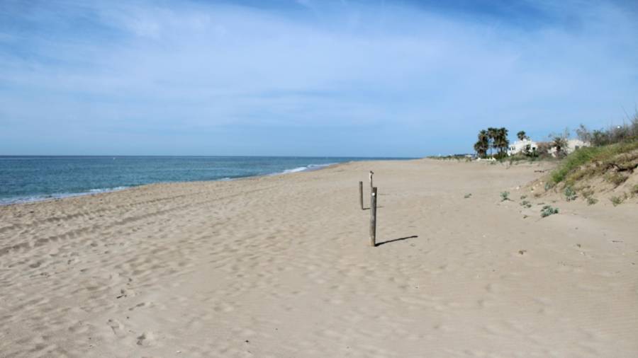 Imatge de la platja de Creixell. FOTO: DT