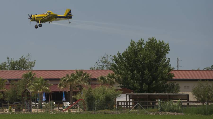 Imatge d’arxiu d’una avioneta ruixant de tractament contra mosquit a Deltebre. FOTO: JOAN REVILLAS