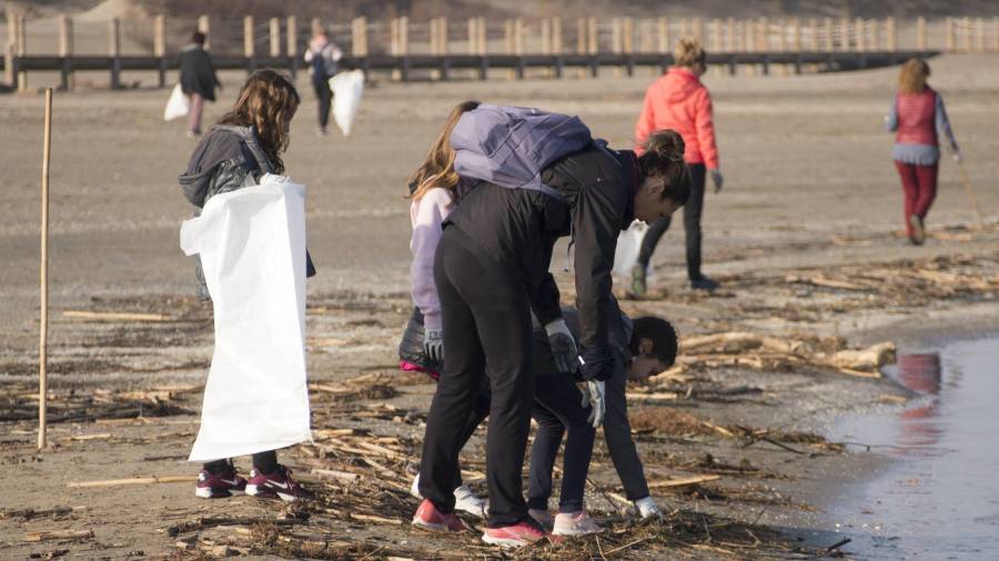 Persones de totes les edats recollien la brossa que hi havia per la platja de Riumar, aquest diumenge al matí a Deltebre. FOTO: JUAN REVILLAS