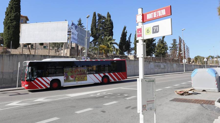 La agresión se produjo en esta parada de autobús, en La Muntanyeta-Culubret. Foto: Pere Ferré/DT