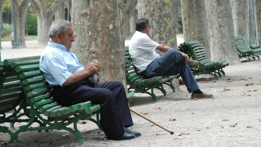 Una persona gran asseguda sola en un banc al parc municipal de Tortosa. Foto: Joan Revillas