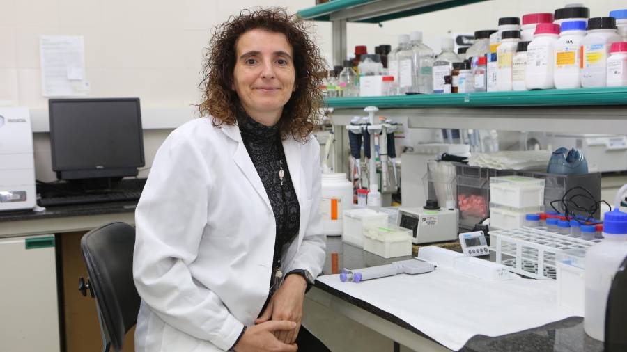 Bulló es profesora de bioquímica y biotecnología. FOTO: Alba Mariné