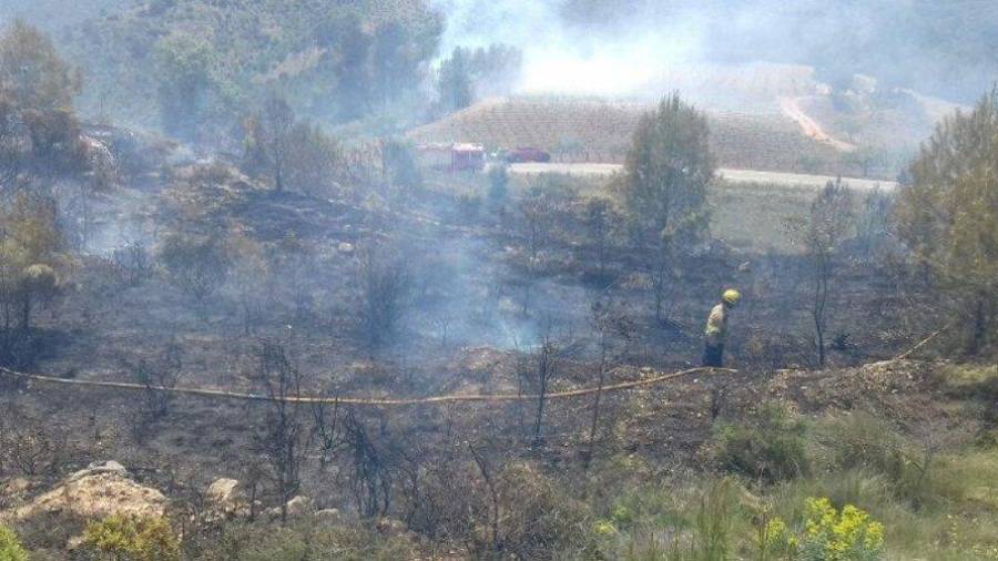 Imagen de la columna de humo del fuego forestal en Cornudella del Montsant. FOTO: Bombers