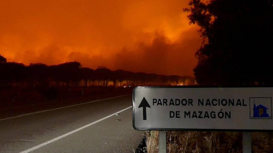 Imagen del incendio declarado en el paraje La Peñuela de Moguer, que entró en el espacio de Doñana. Foto: efe