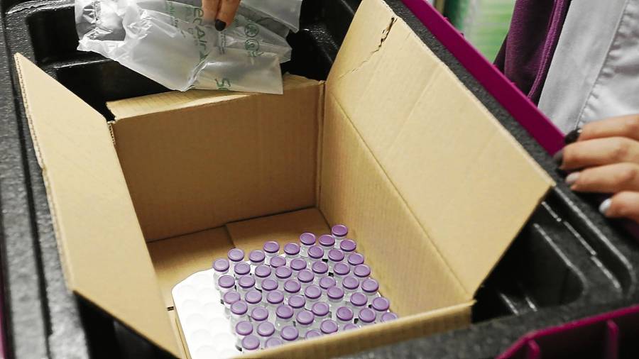 Dosis de Pfizer recibidas en el Camp de Tarragona, a punto de ser distribuidas y administradas por residencias en esta primera fase de vacunación. FOTO: pere ferré
