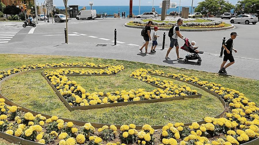 Los claveles de moro amarillos que embellecen la Plaça de la Unesco. Foto: Pere Ferré