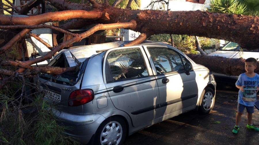 Un árbol aplastó un coche en Els Pallaresos Park. Por suerte, no hubo que lamentar ninguna víctima. Foto: cedida