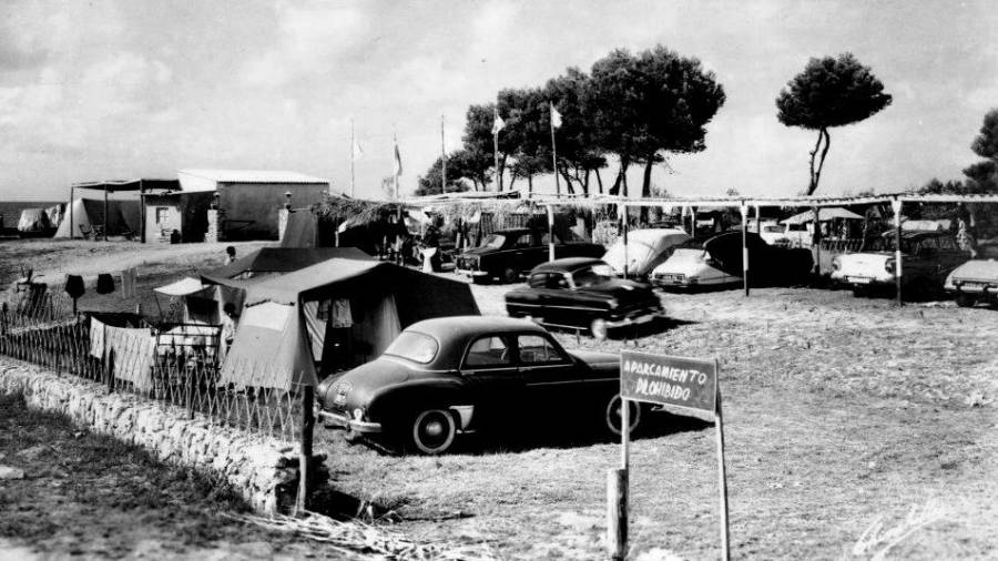 Anys 50. Aparcament de cotxes al Càmping Les Palmeres. Foto: Arxiu Rafael Vidal Ragazzon/Fotògraf R. Segú