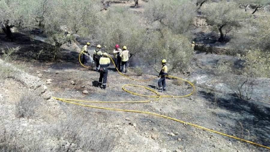 Els bombers durant l'extinció de l'incendi de Camarles. Foto: Bombers de la Generalitat