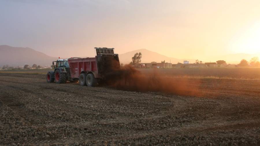 Un tractor vertiendo el abono hecho con los restos de café de las cápsulas, en un campo de arroz en el Delta de l’Ebre. FOTO: Nespresso