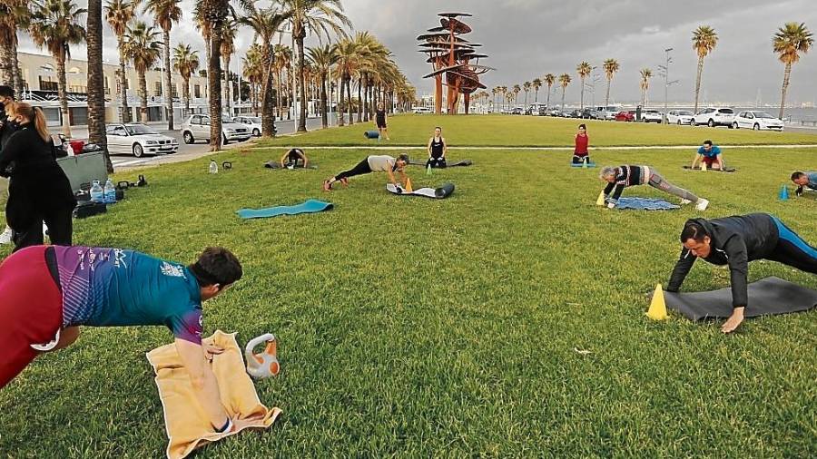 Esta zona ajardinada junto a los pinos de Mariscal es uno de los espacios que aprovecha para entrenar el grupo dirigido por Gloria Herrera. FOTO: Pere Ferré