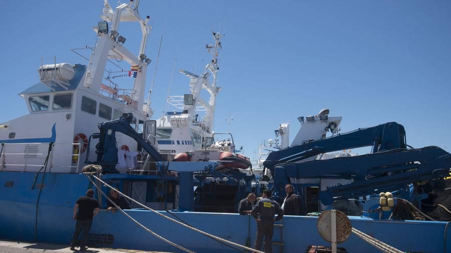Imatge de la flota del grup tonyinaire Balfegó, al port de l’Ametlla de Mar en una imatge d'arxiu. Foto: Joan Revillas