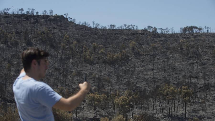 Un jove fotografiant el terreny cremat al terme de Flix, a finals del mes de juny. FOTO: Joan Revillas