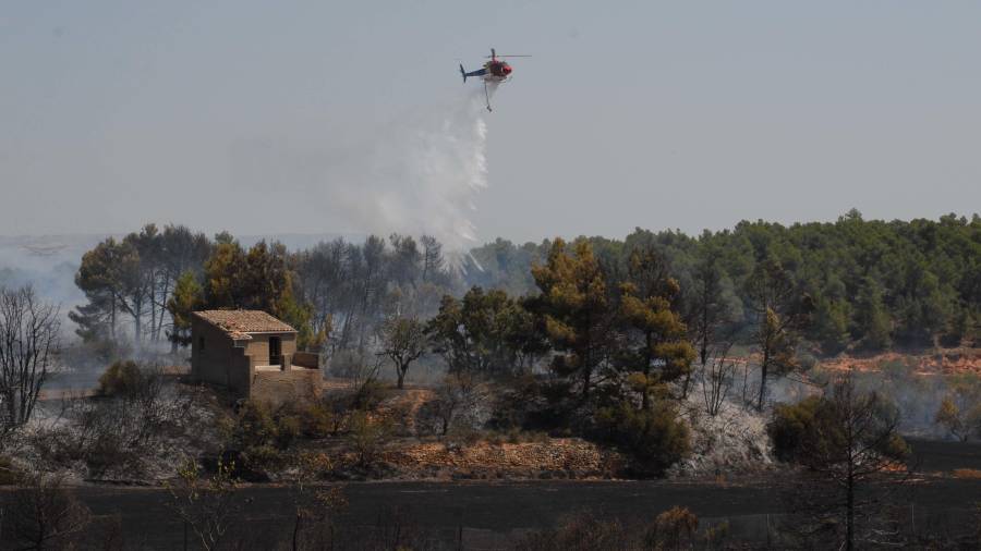 El incendio de La Espluga del 4 de agosto ha sido el más importante en el Camp de Tarragona Foto: àngel juanpere