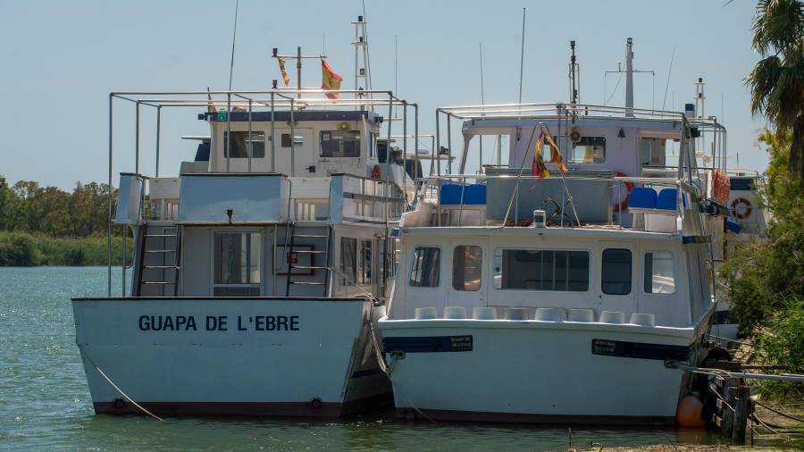 Viaxells turístics, atracats al riu Ebre, a Deltebre. FOTO: Joan Revillas