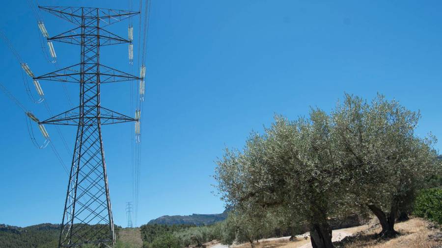Una de les línies elèctriques que travessen el terme de Tivissa. Foto: Joan Revillas