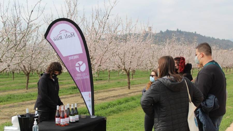 Primeres activitats de «La Ribera en flor 2021» a Vinebre on després del passeig es feia un tast de vins. FOTO: FRANCESC LAVEGA