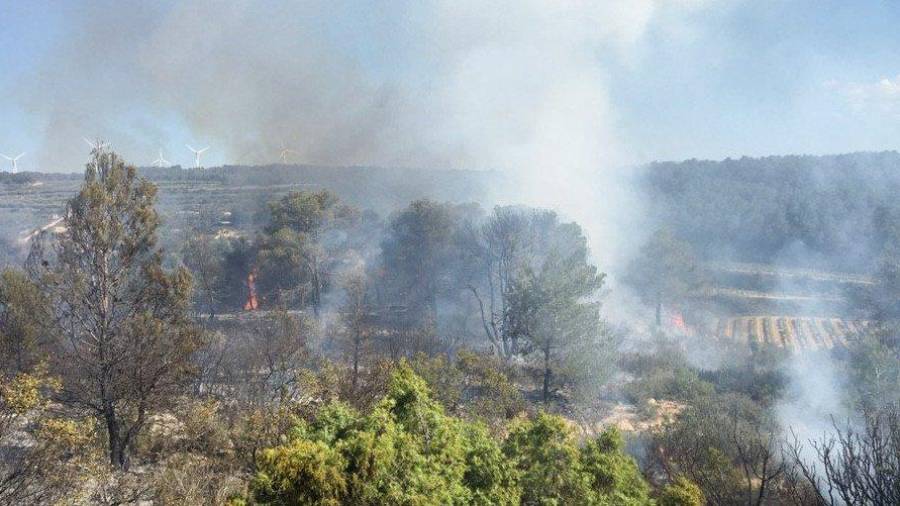 Imatge de l'incendi de Batea d'avui. FOTO: Bombers de la Generalitat