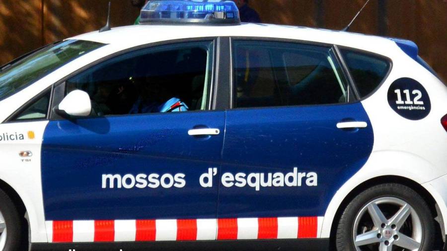 En l'escorcoll als dos nois, els mossos també els hi van trobar un tornavís amb el que haurien forçat la porta de l'immoble. FOTO: MOSSOS