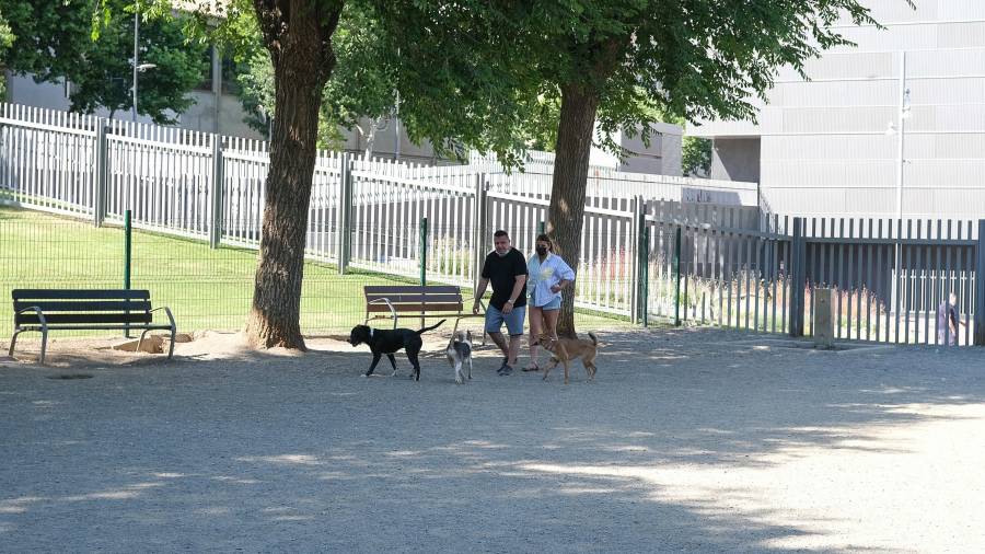 Los propietarios de perros en Reus piden más pipicanes con mejor mantenimiento