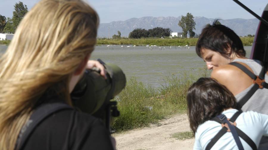 Visitants realitzant observació d’ocells al delta de l’Ebre. FOTO: JOAN REVILLAS