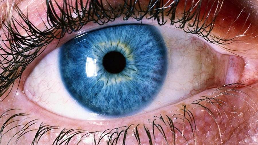 Lentillas de Colores Graduadas Una Forma Facil de Cambiar su Imagen y Estilo