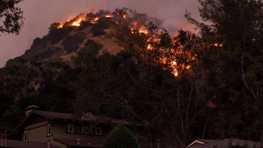 El fuego ha quemado más de 16.600 hectáreas. EFE