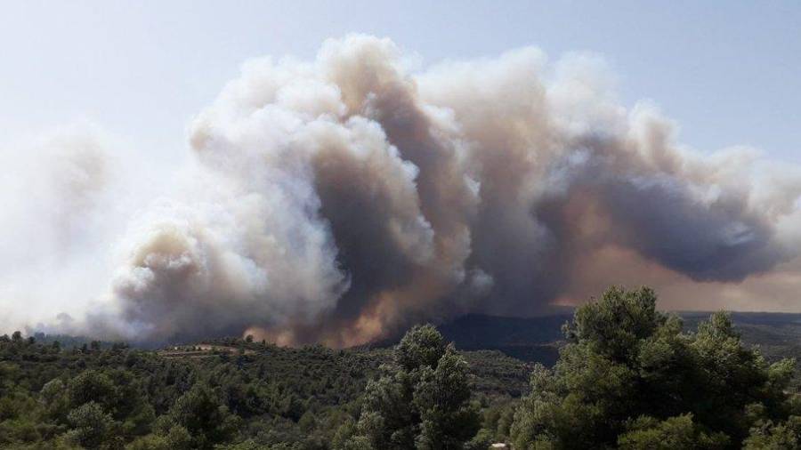 Imagen del incendio en la Ribera d'Ebre. Foto: Twitter Bombers