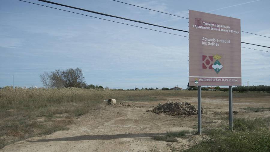 Terrenys on s’ubicarà el nou polígon industrial. FOTO: JOAN REVILLAS