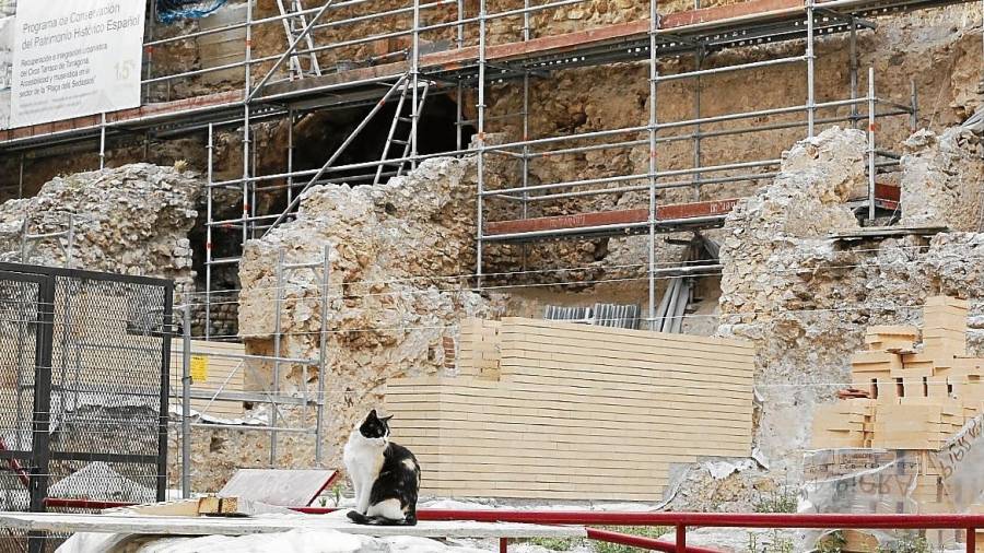 El muro de ladrillo en las obras de reconstrucción del Circ ha disparado las alarmas.