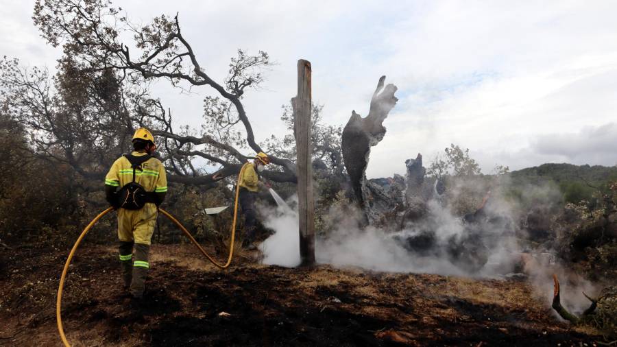Amb més de 1.000 hectàrees cremades, Bellprat és el municipi més afectat per l'incendi de la Conca de Barberà. Foto: ACN