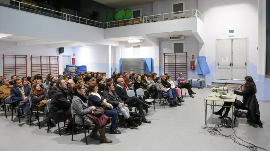 La xerrada orientativa sobre estudis francesos va tenir lloc ahir dilluns al gimnàs del Institut Gabriel Ferrater i Soler de Reus. FOTO: Alba Mariné