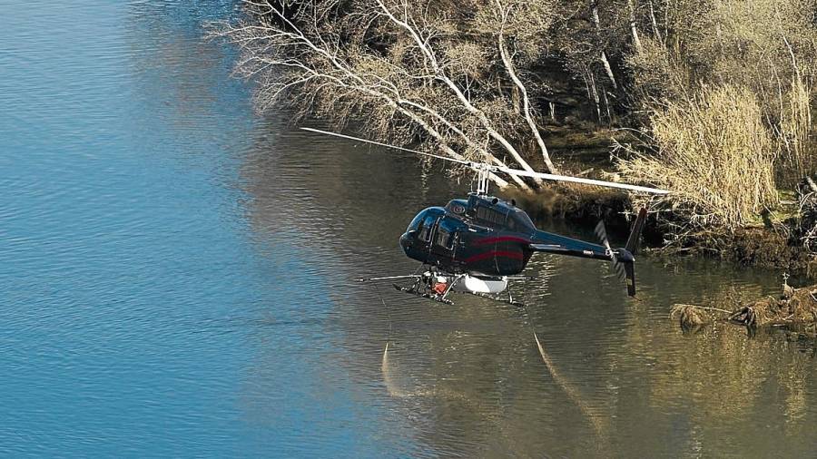 Un helicòpter realitzant tractament contra la mosca negra al riu Ebre al seu pas per Ascó. FOTO: Joan Revillas