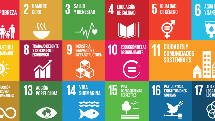 Los 17 objetivos que se aprobaron en la Agenda 2030.