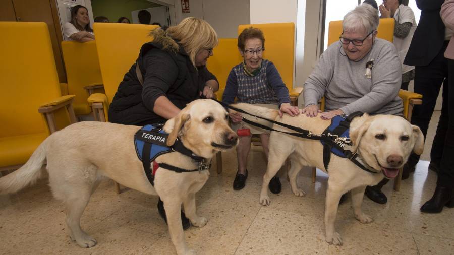 Els gossos amb dues de les usuàries del centre que participen en la teràpia. FOTO: JOAN REVILLAS