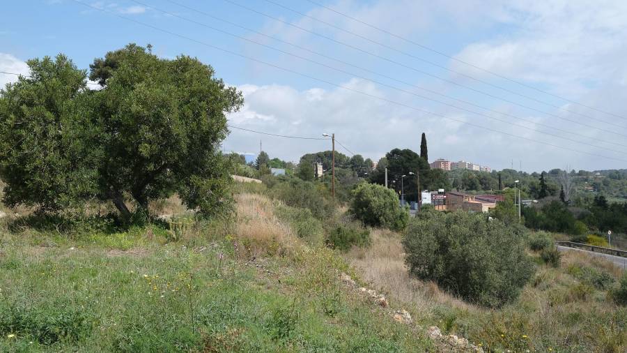La zona de estacionamiento se prevé en la zona entre la carretera de Sant Pere i Sant Pau y los depósitos de Ematsa. FOTO: FABIÁN ACIDRES