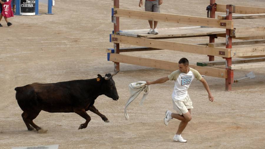Un acte amb bous a Amposta, en una Imatge d’arxiu. FOTO: JOAN REVILLAS